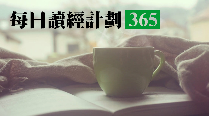 你的话是我脚前的灯，是我路上的光。 诗篇119:105